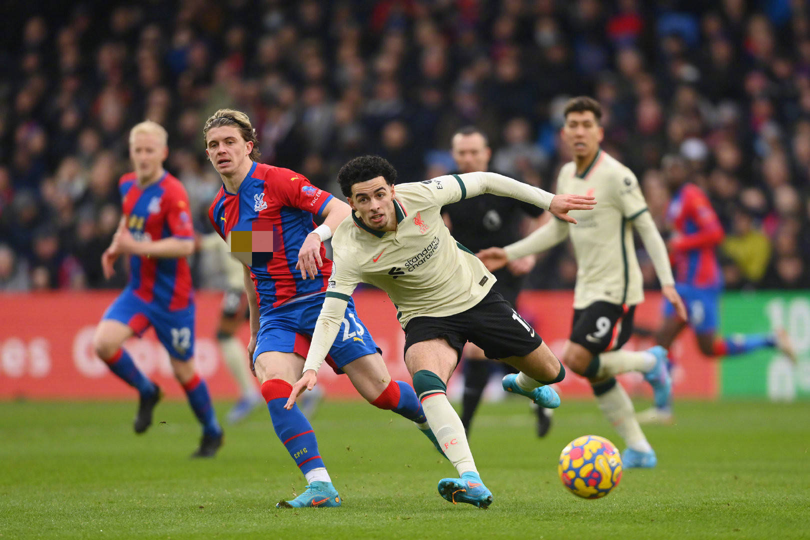 荣耀的象征 荣耀的象征